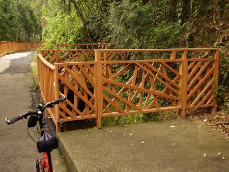 木紋塑膠仿木,塑木,南投縣埔里鎮自行車道