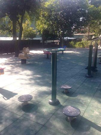 體健設施,花壇鄉,標準體健