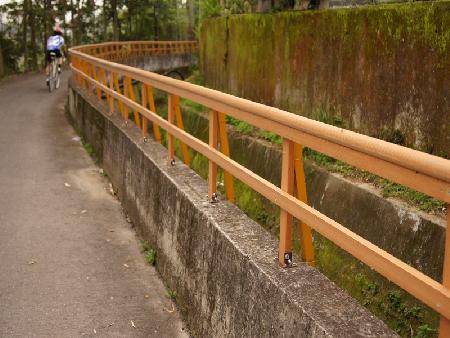 木紋塑膠仿木,塑木,南投縣埔里鎮自行車道