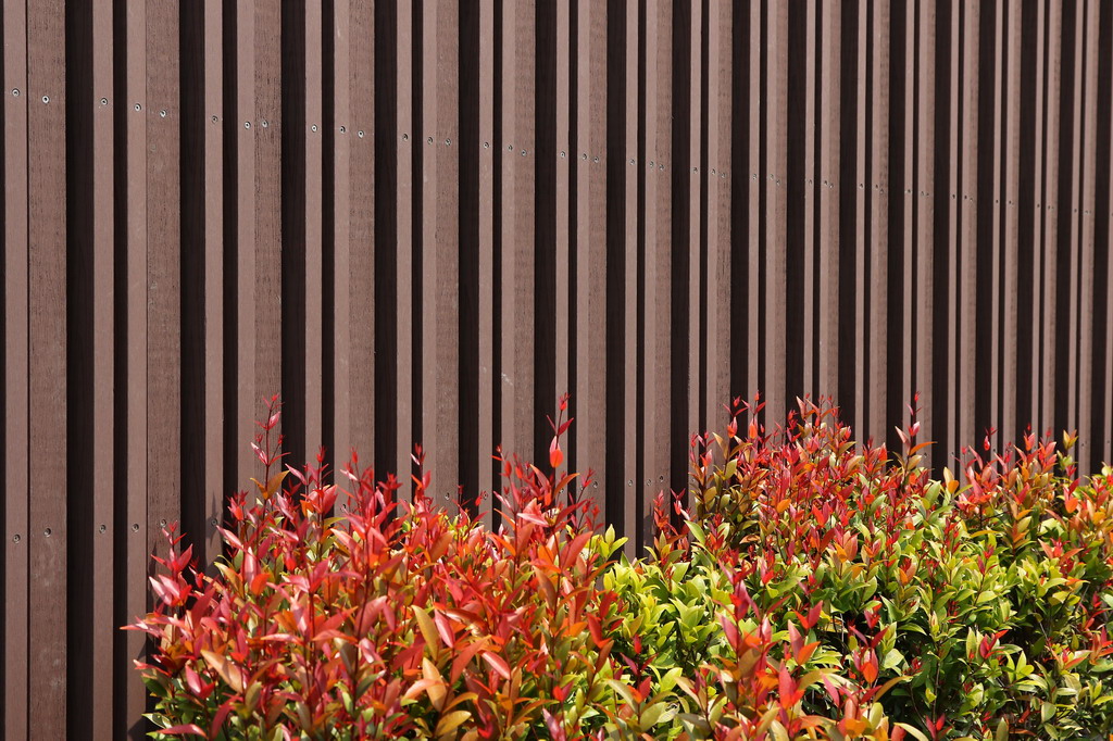 自行車廠 (3).JPG