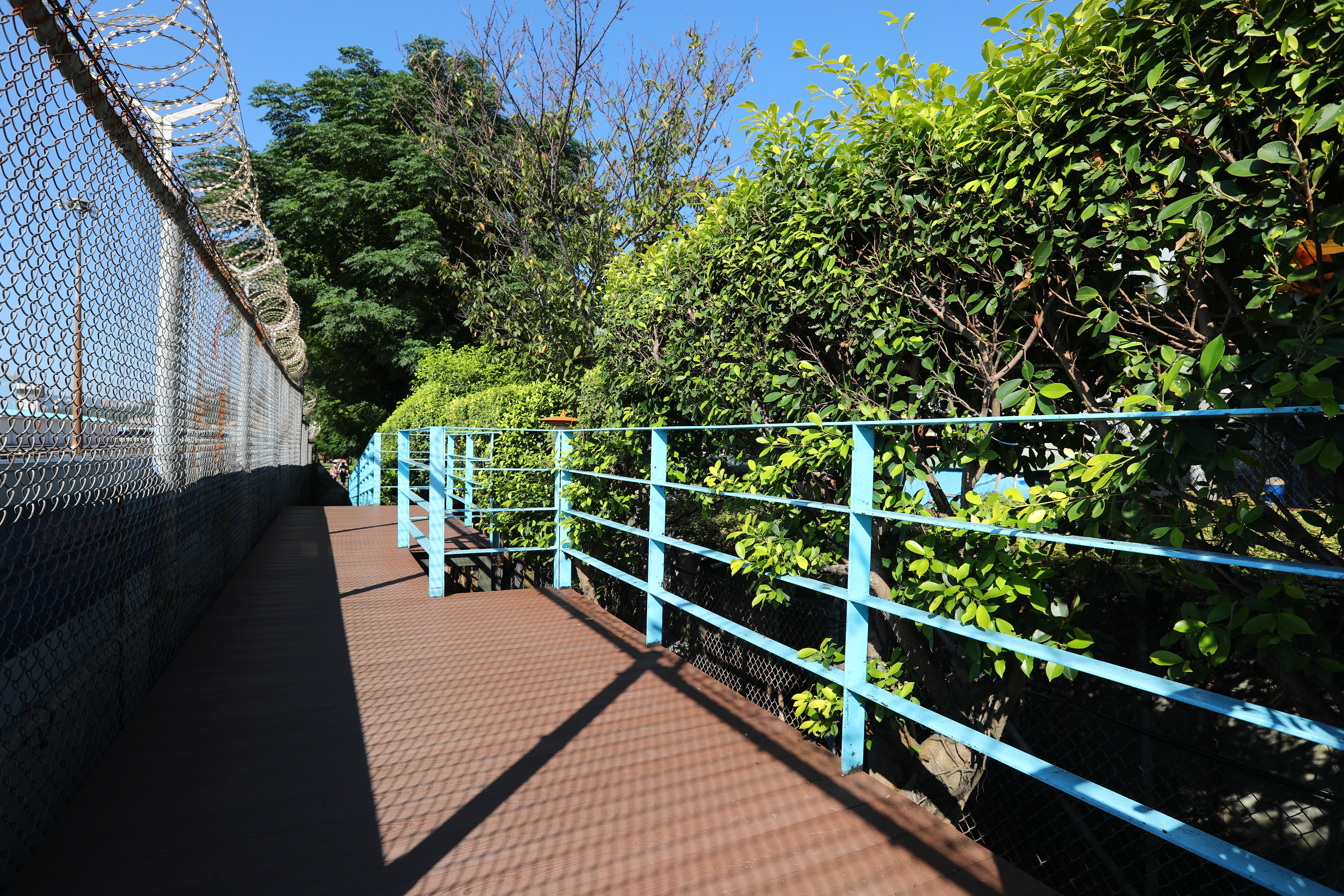 台北 復興崗捷運綠地 (13).JPG