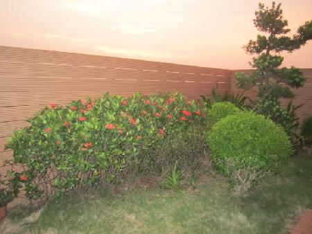 木紋塑膠仿木,塑木,恩主公醫院