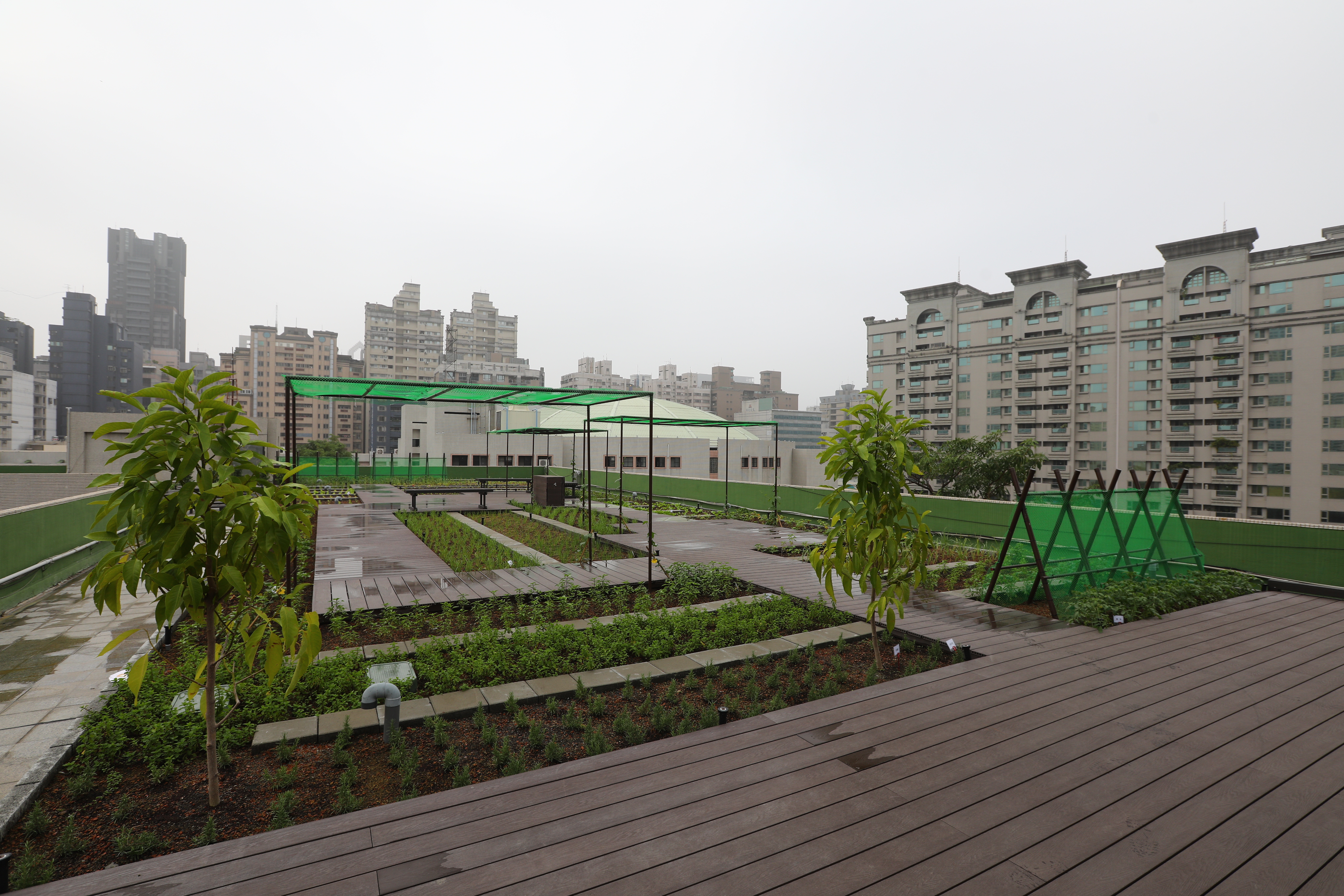 高雄 屋頂花園 (15).JPG