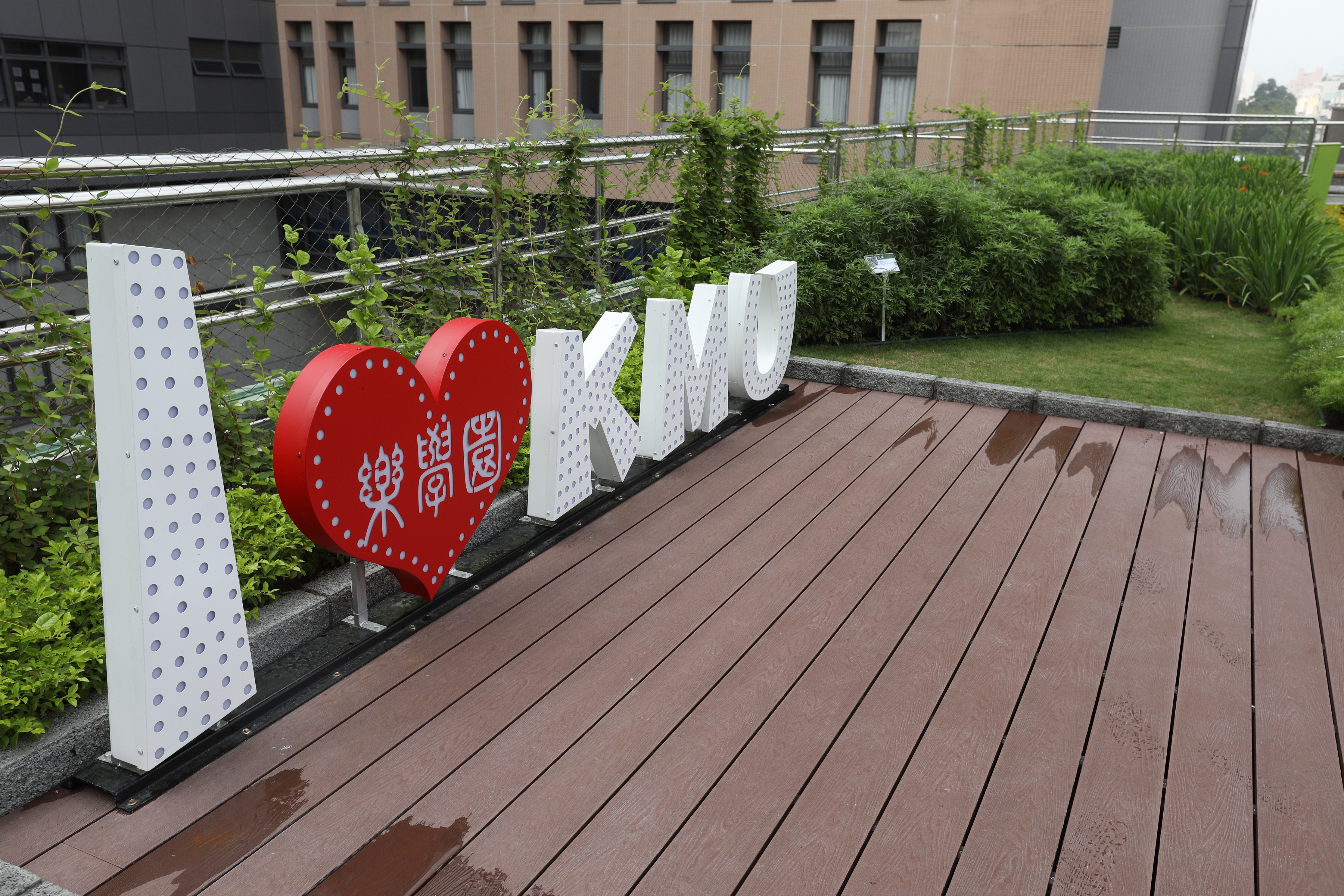 高醫屋頂花園 (5).JPG