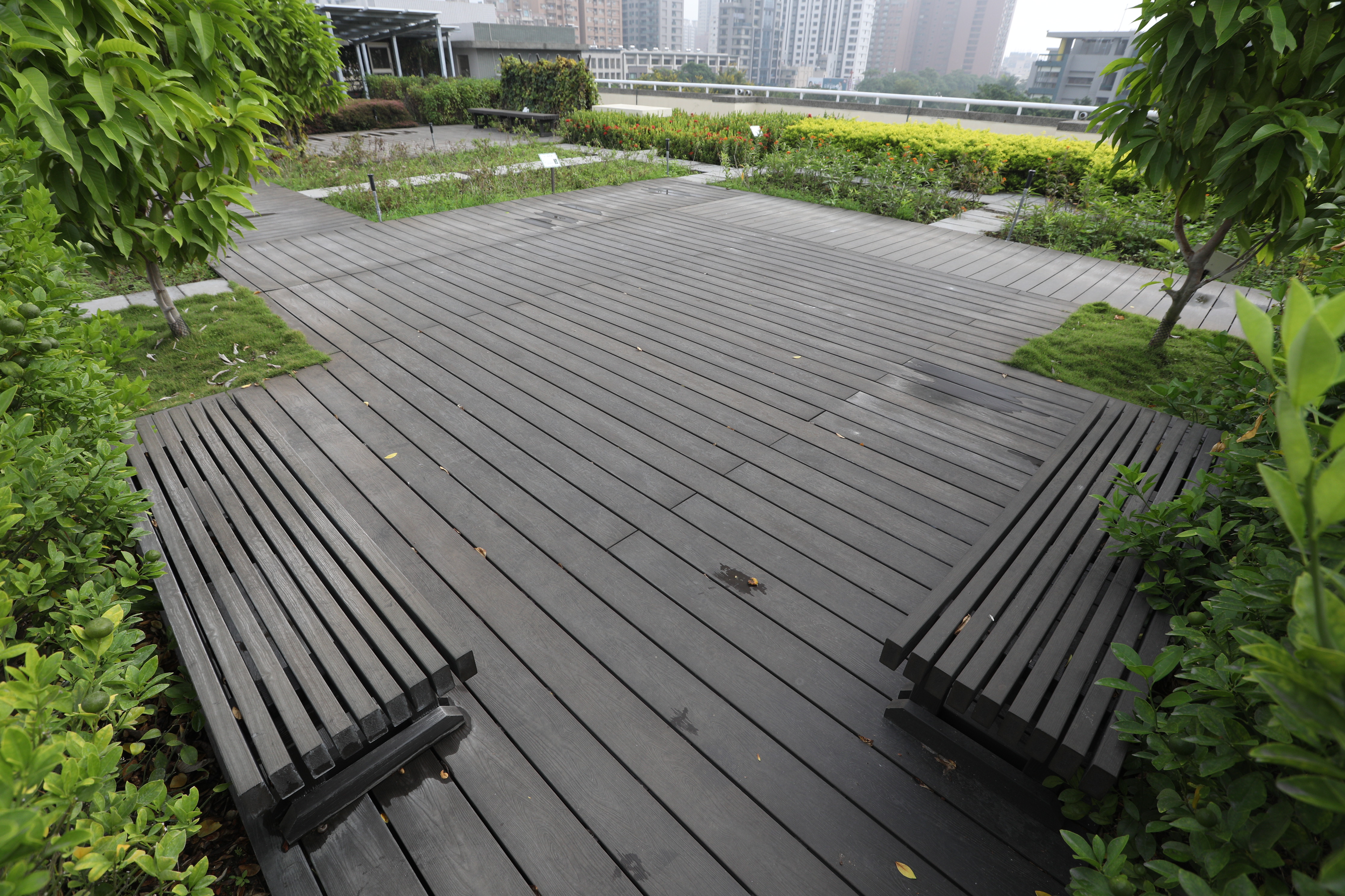 高雄新光國小 (27).JPG