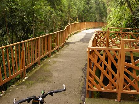 木紋塑膠仿木,塑木,南投縣埔里鎮自行車道