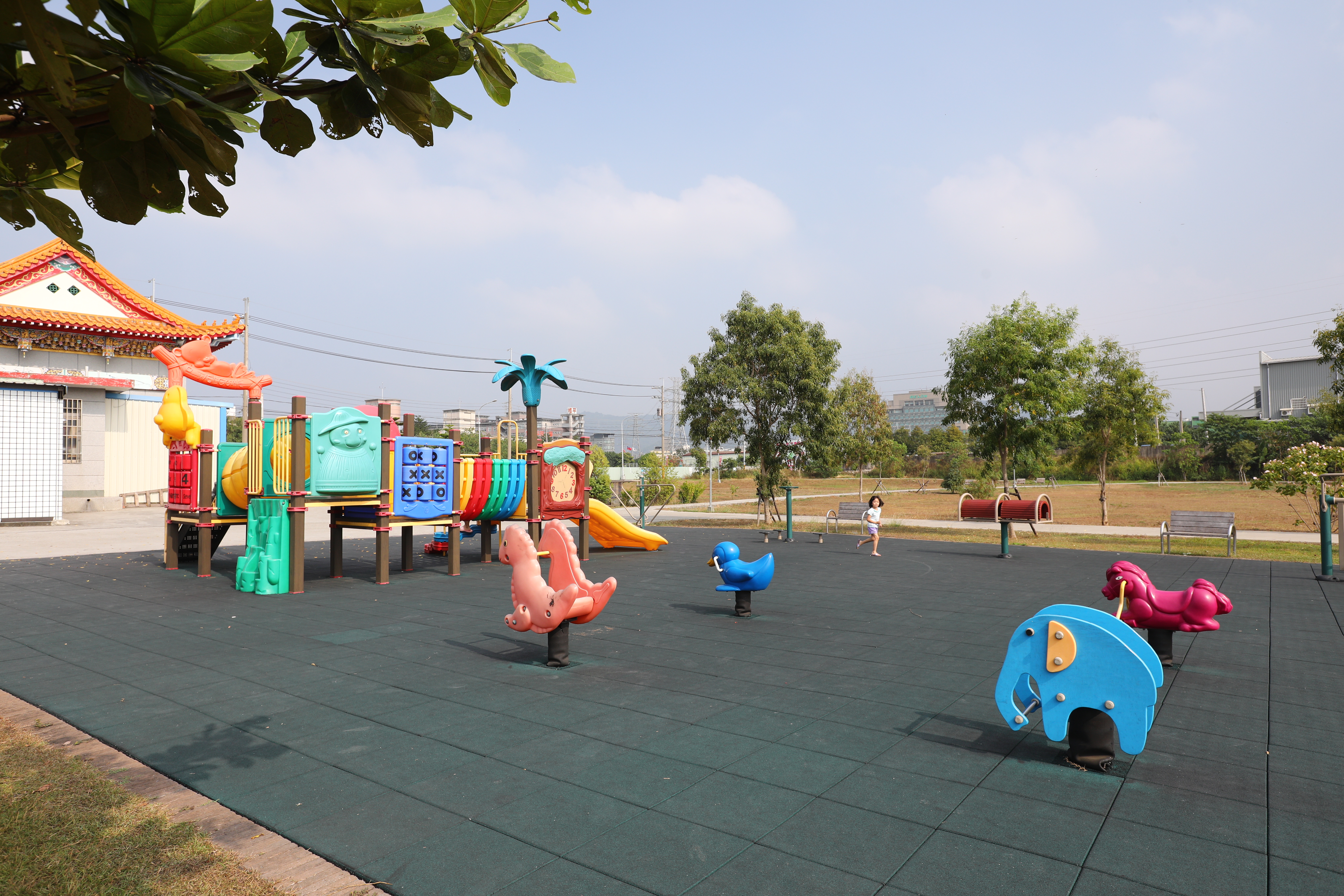 台中 遊具、體健設施 (6).JPG