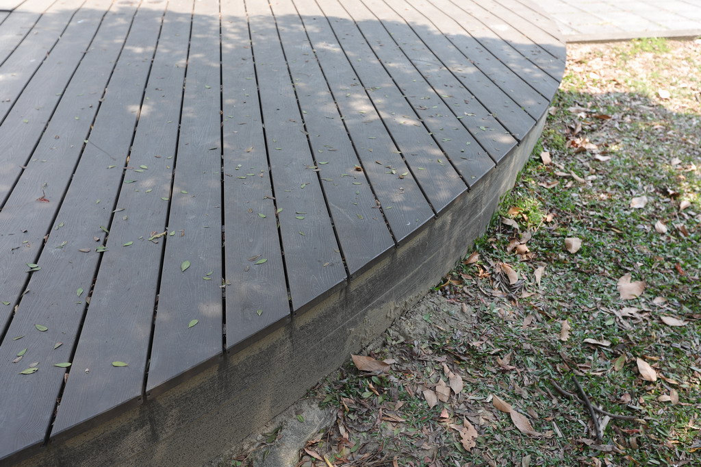 中興大學 (8).JPG