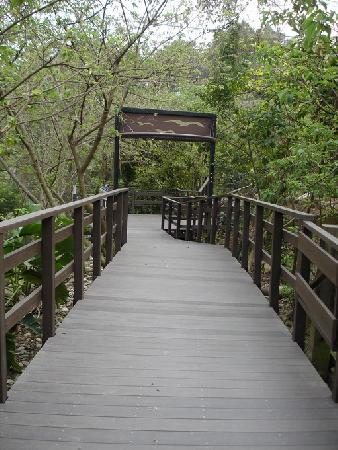 木作工程,塑木,壽山動物園