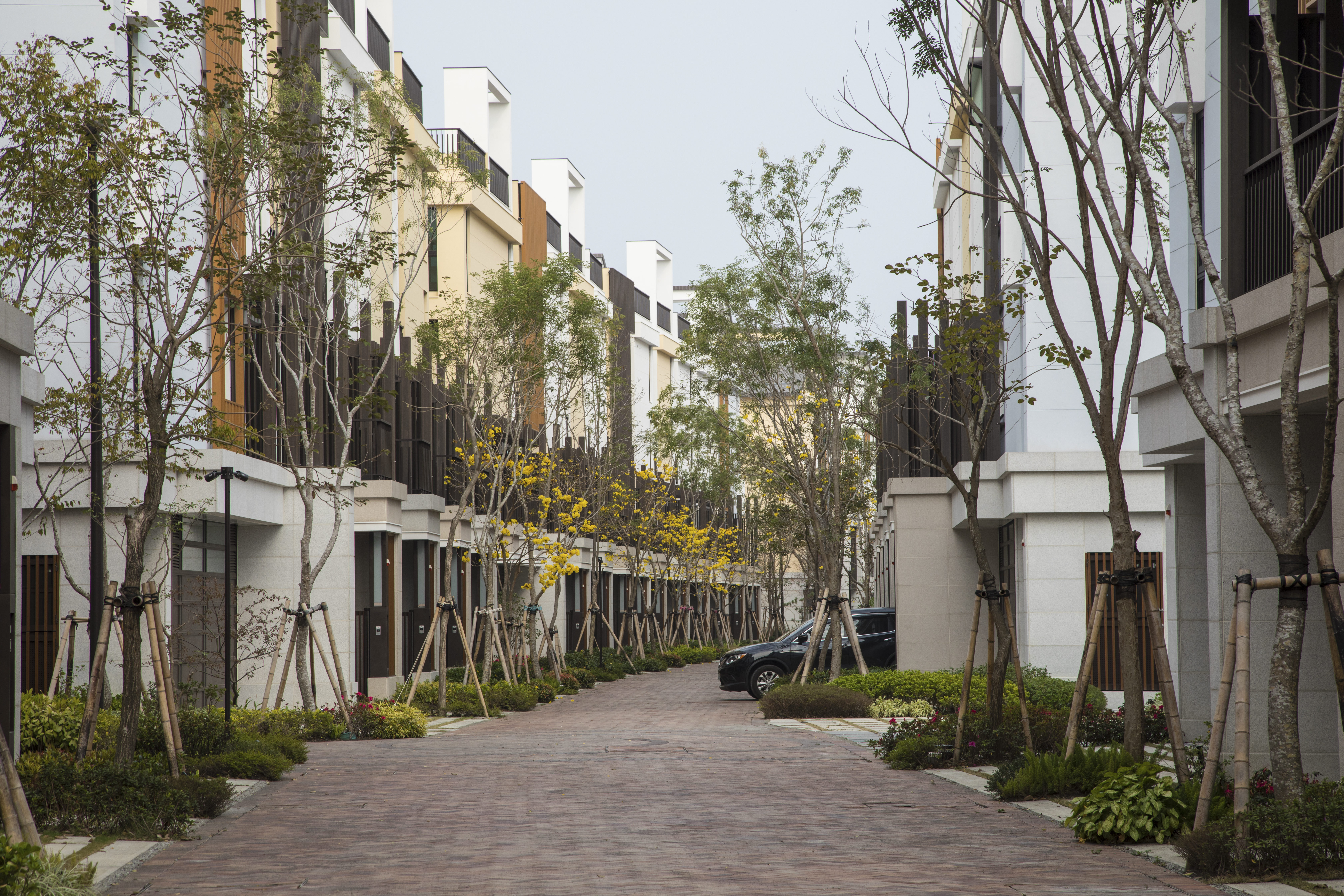 國揚建設 (6).jpg