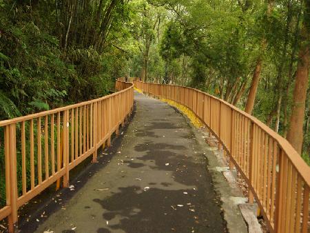 木紋塑膠仿木,塑木,南投縣埔里鎮自行車道