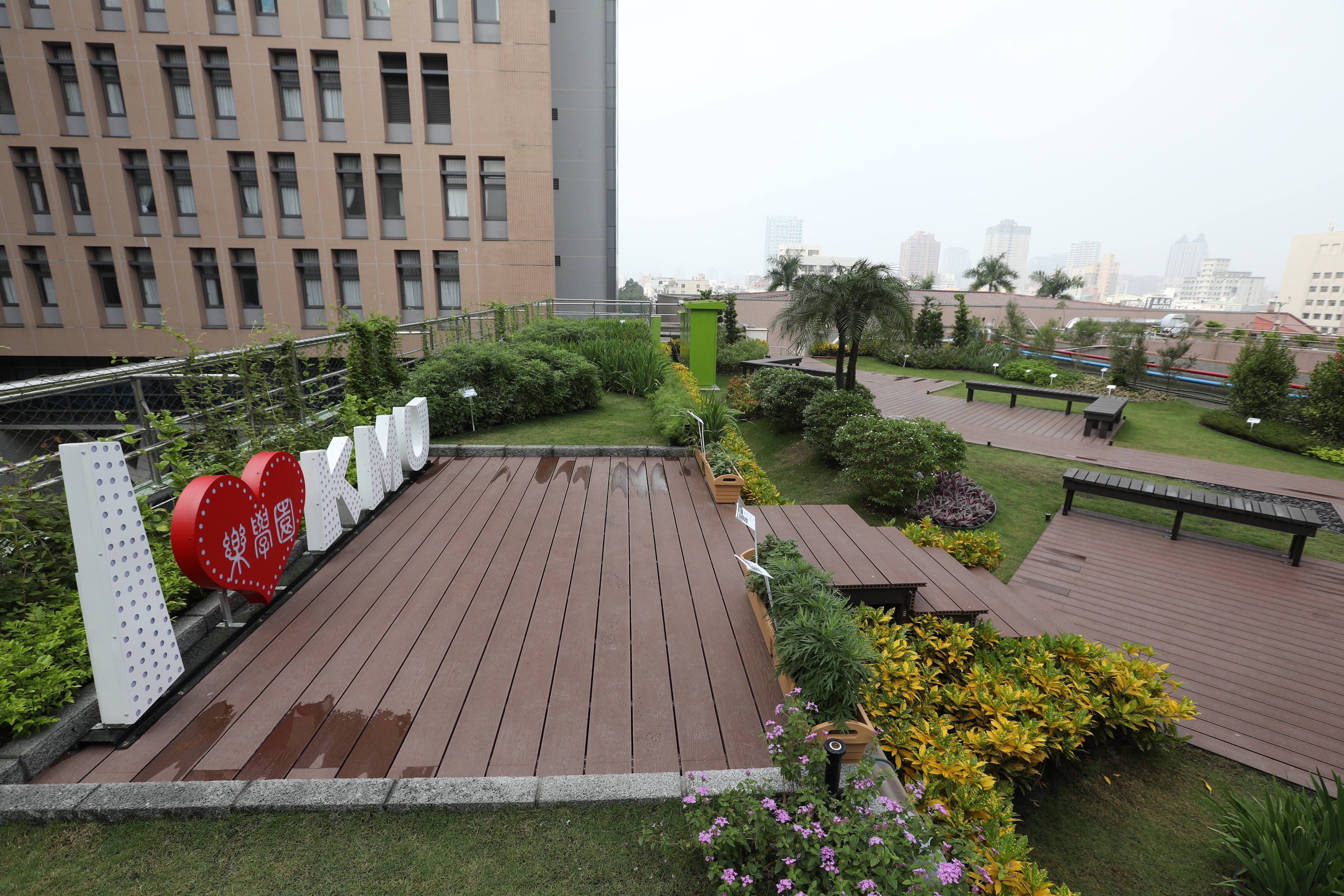 高醫屋頂花園 (6).JPG