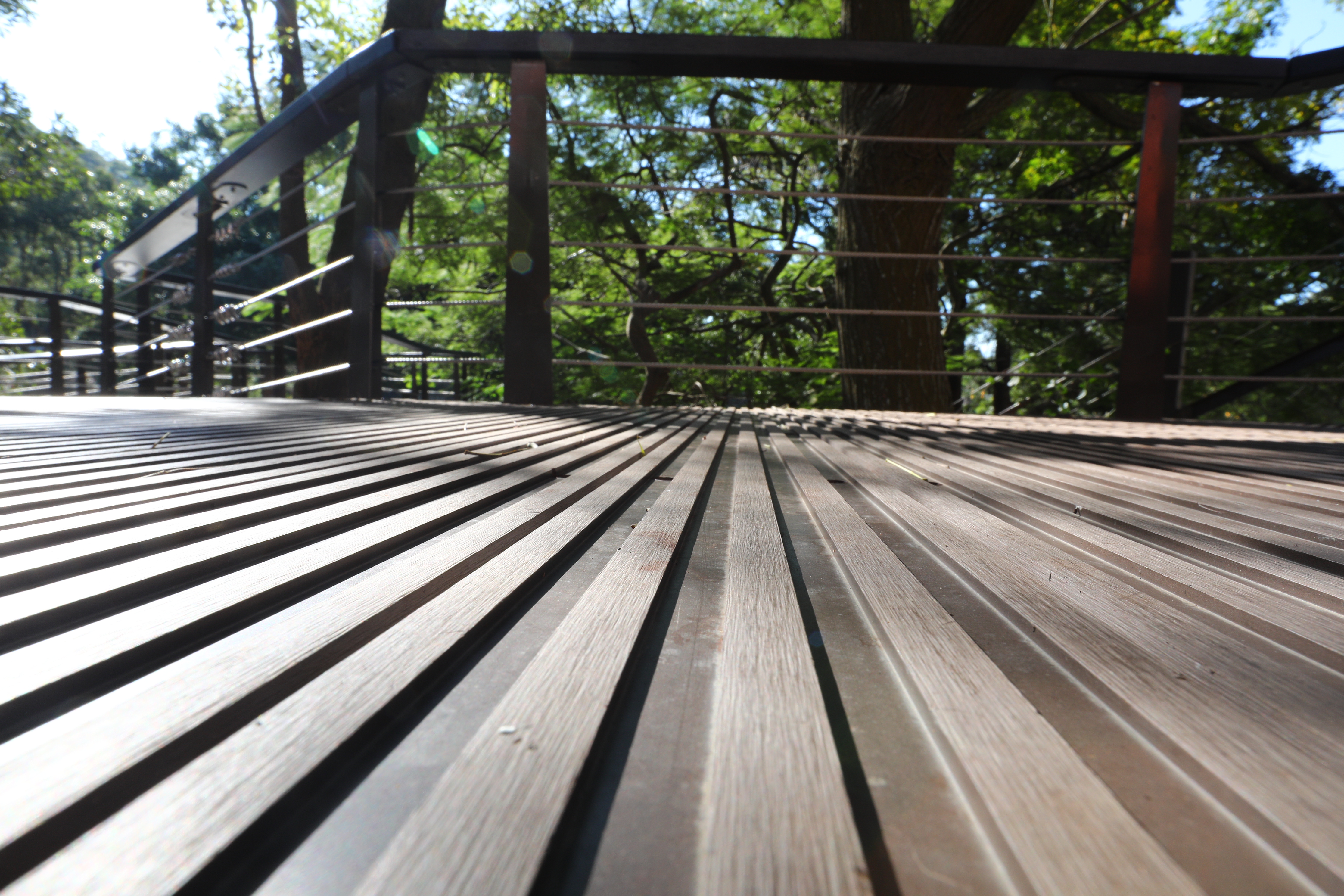 桃園 虎頭山 (24).JPG