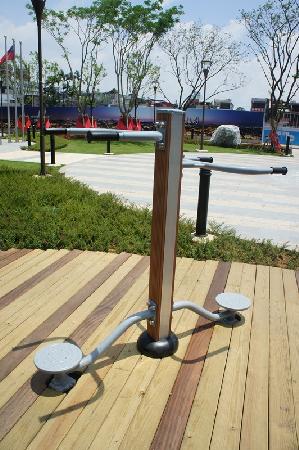 體健設施,雙人大轉輪,忠貞兒童公園