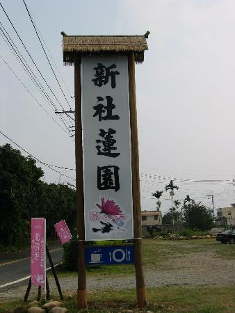 街道傢俱,南洋黑桃木,新社自行車綠廊