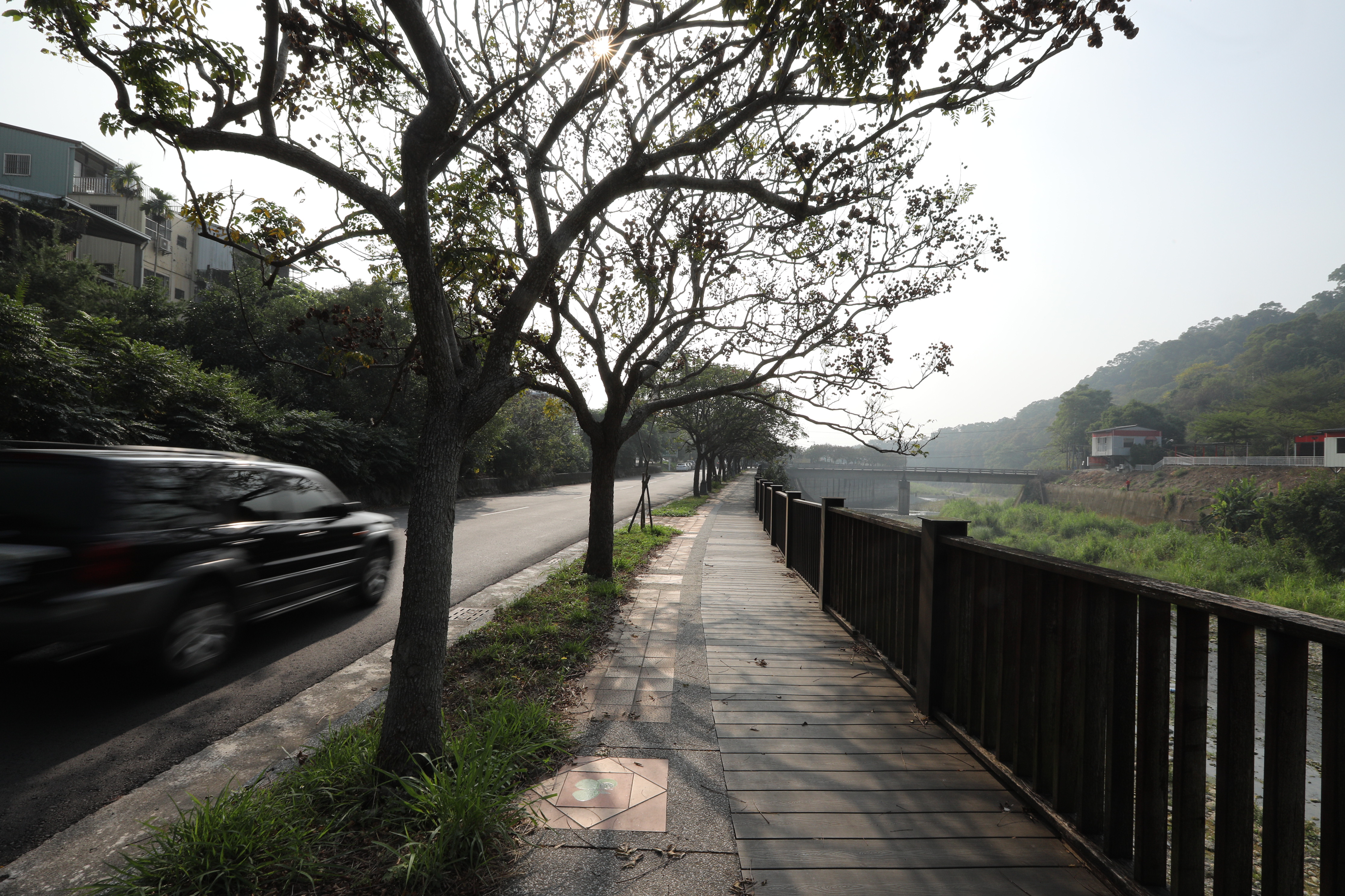 冬冬芋園房 (1).JPG