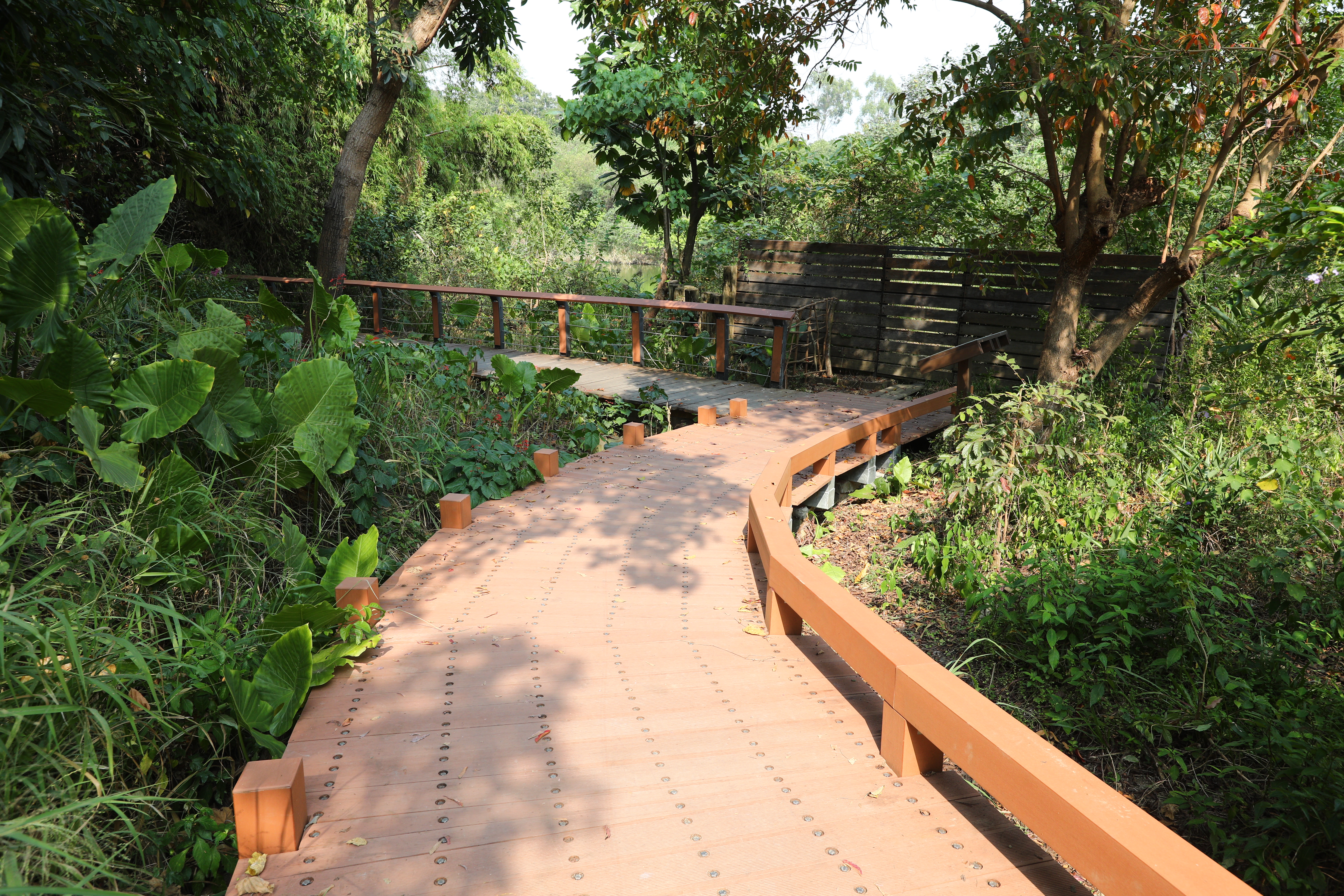 高雄 澄清湖 (12).JPG