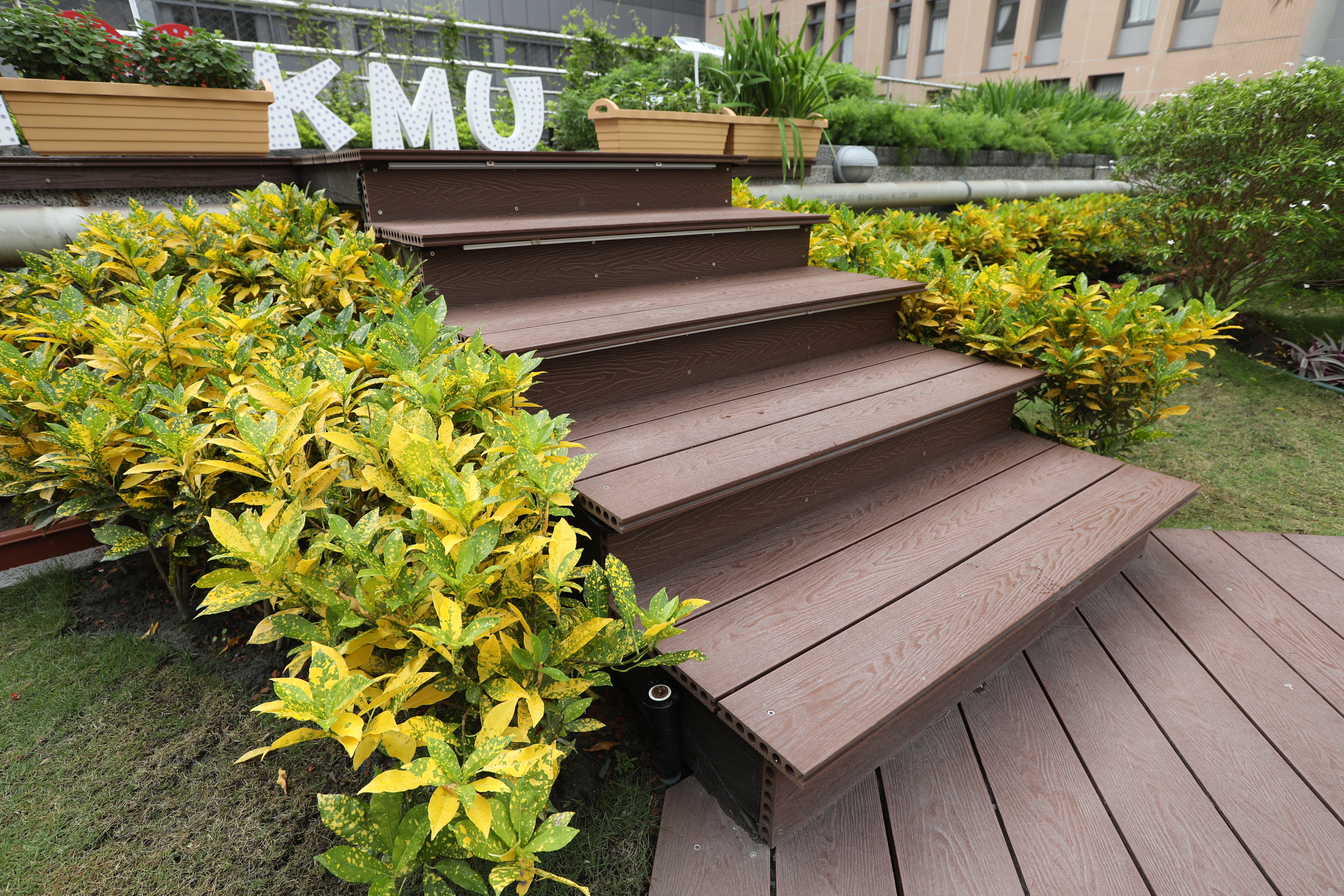 高醫屋頂花園 (7).JPG