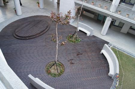 兒童遊具,大墩國民小學