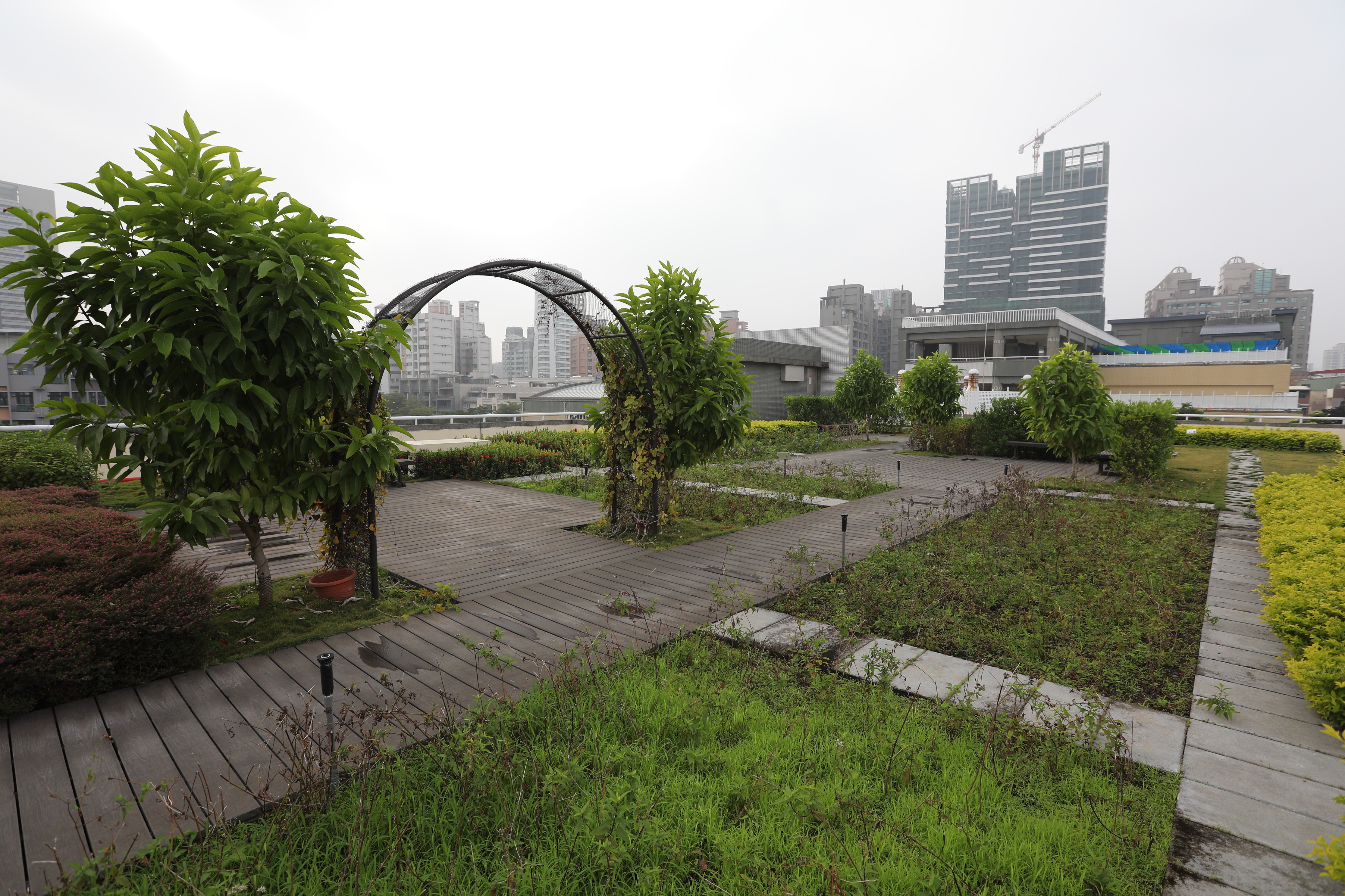 高雄新光國小 (18).JPG