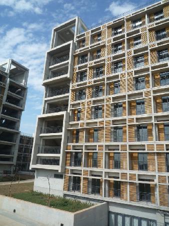 木作工程,南方松,東海大學學生宿舍