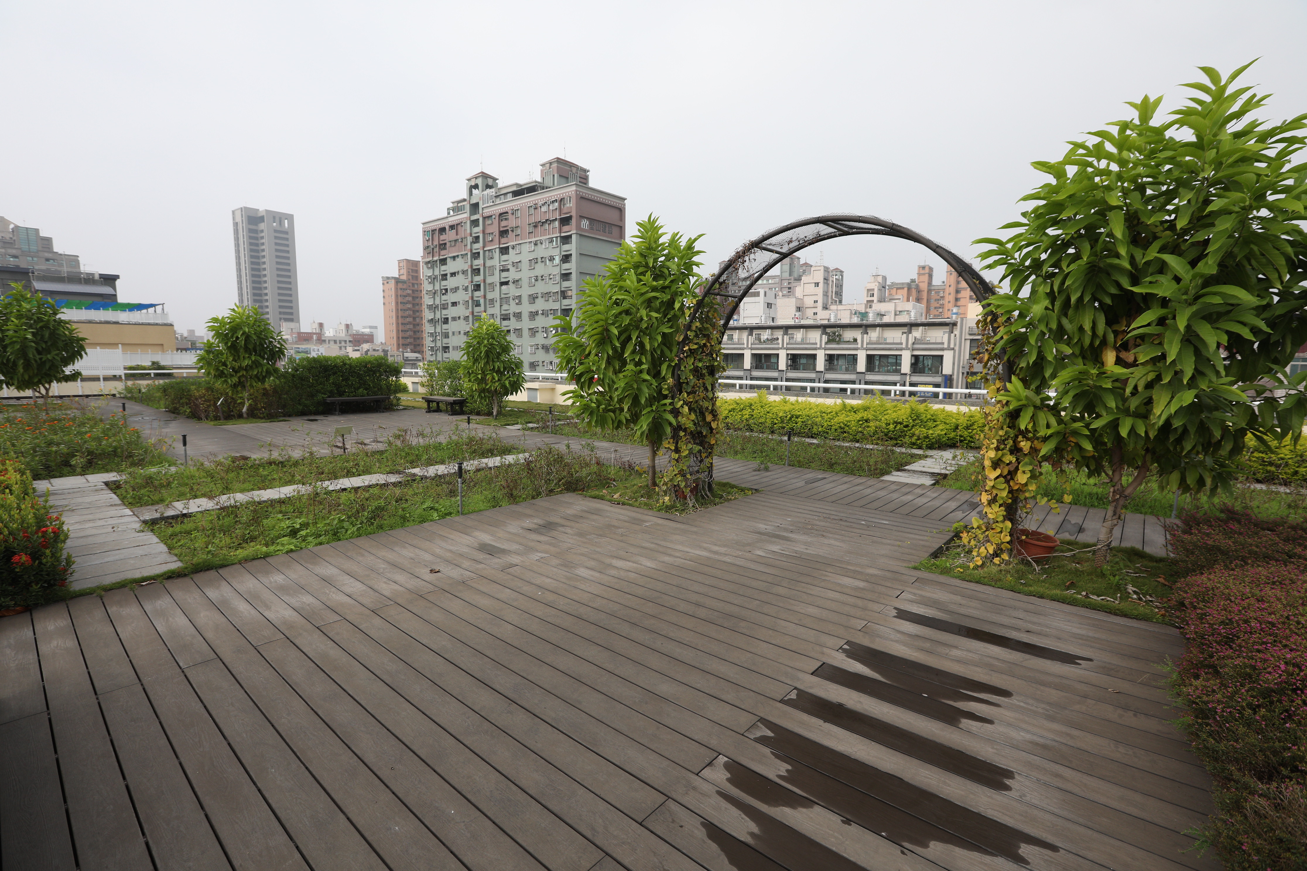 高雄新光國小 (29).JPG