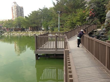 木紋塑膠仿木,塑木,南屯區豐樂公園