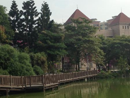 木紋塑膠仿木,塑木,南屯區豐樂公園