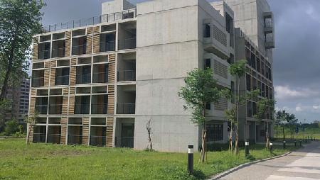 木作工程,南方松,東海大學學生宿舍