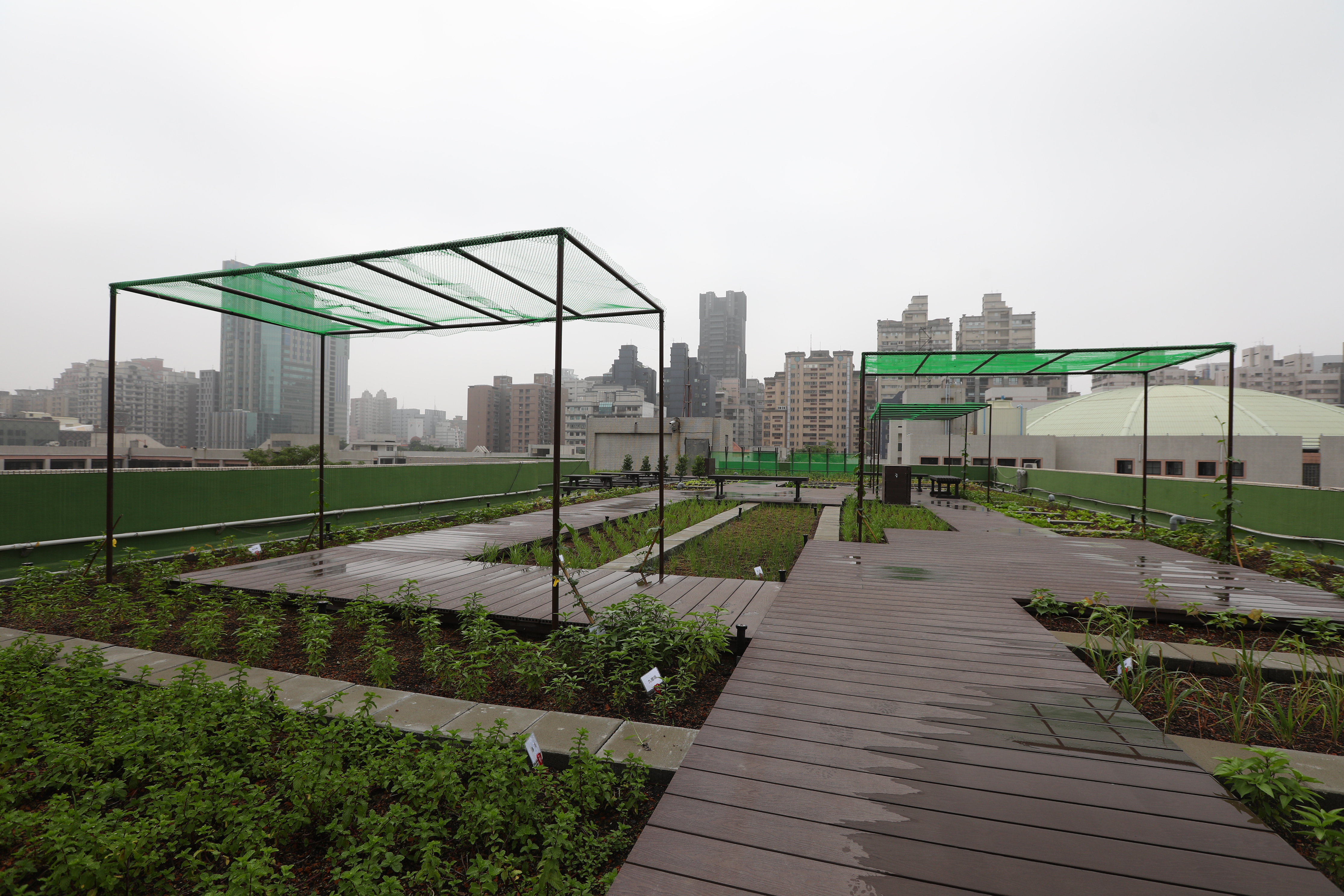 高雄 屋頂花園 (18).JPG