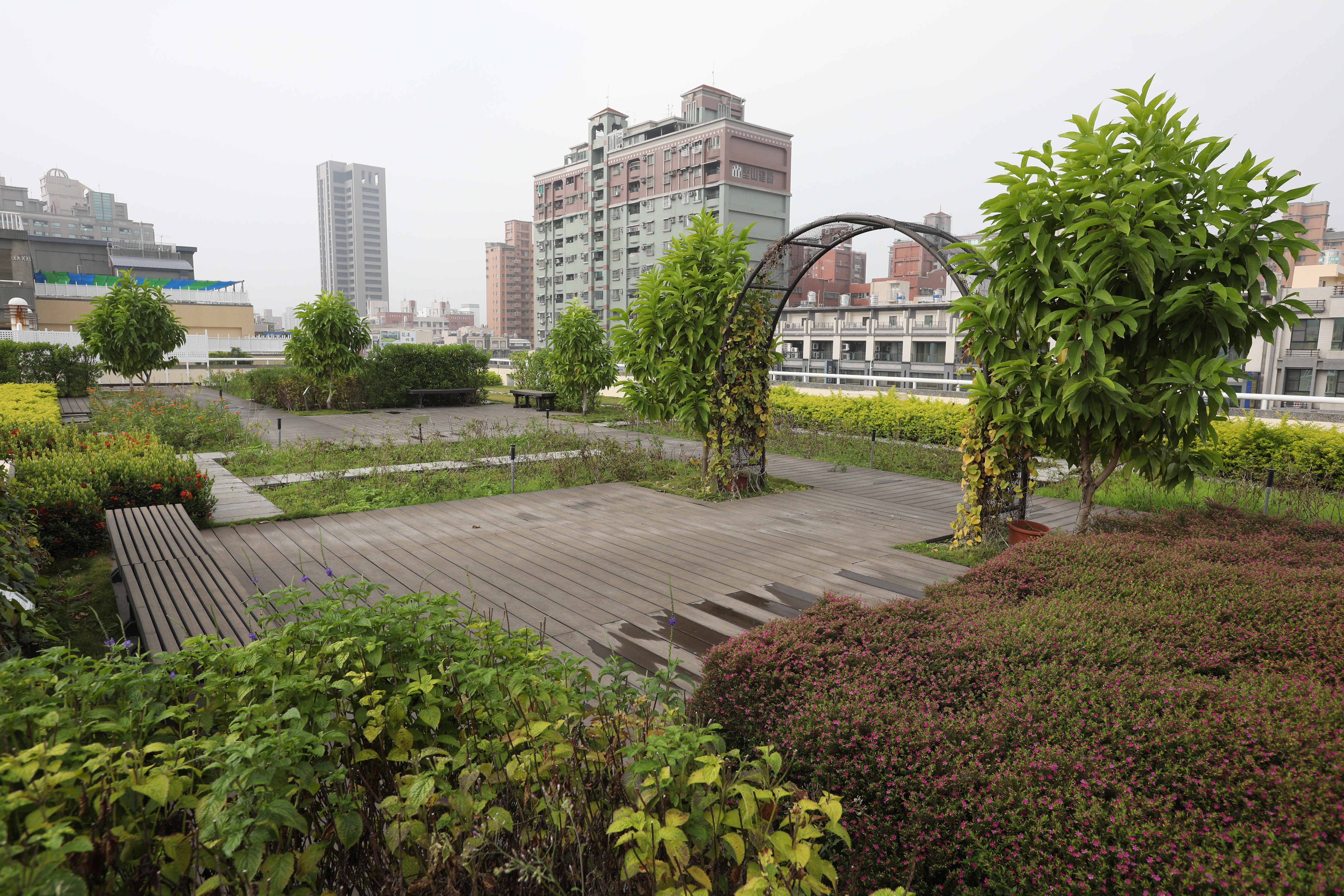 高雄新光國小 (30).JPG