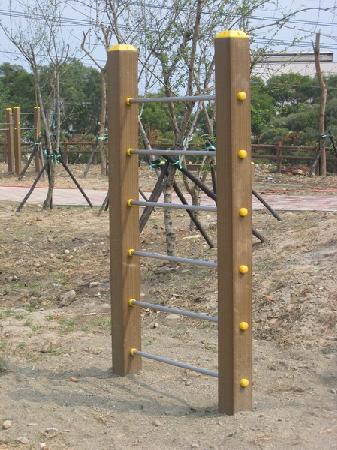 體健設施,香妃木,櫸木,台中工業區運動公園