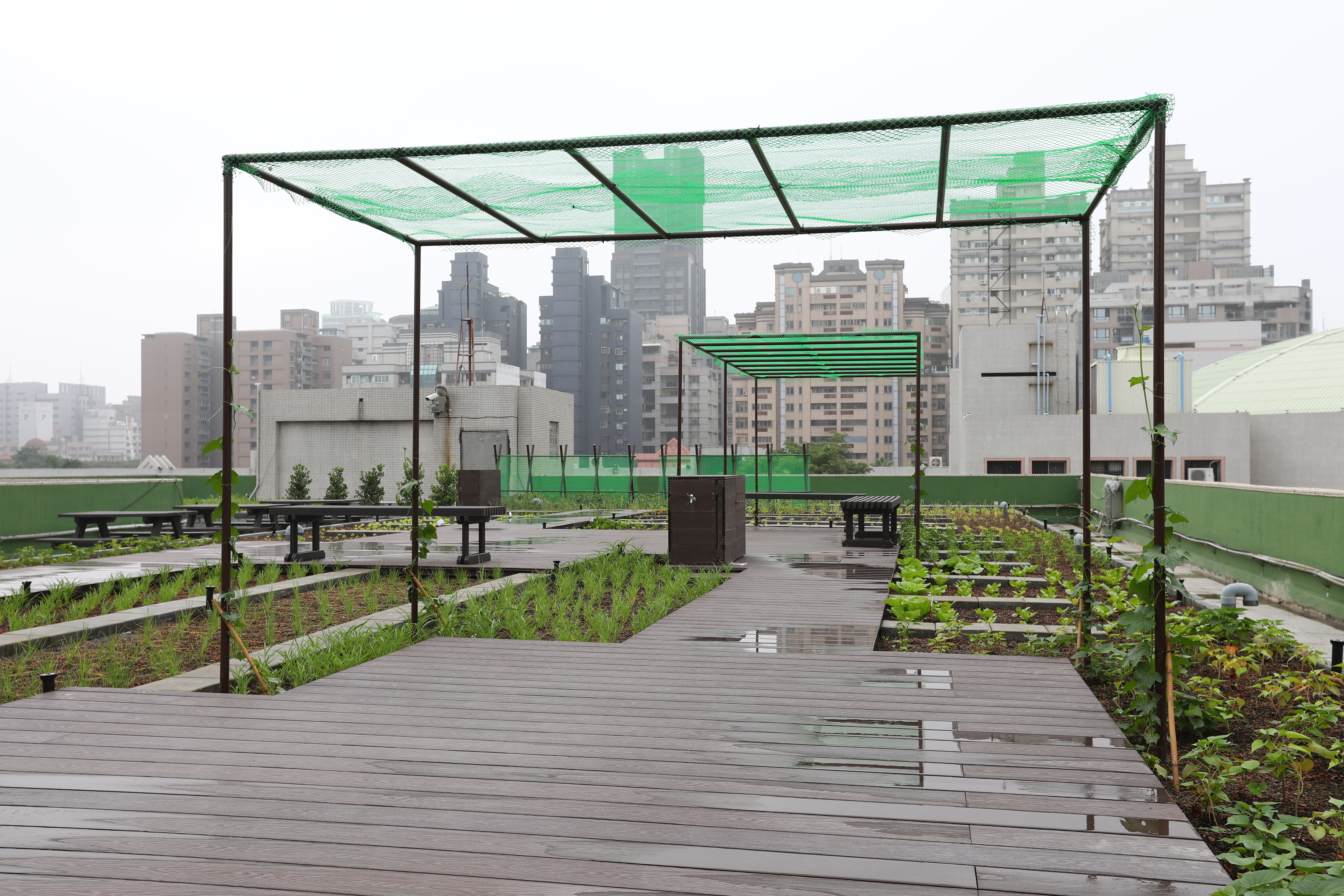 高雄 屋頂花園 (14).JPG