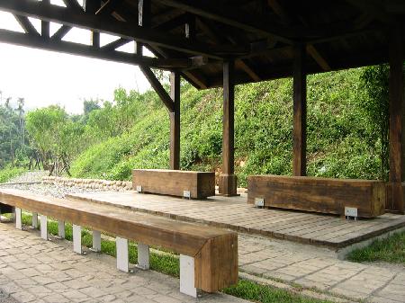 街道傢俱,南洋黑桃木,新社自行車綠廊