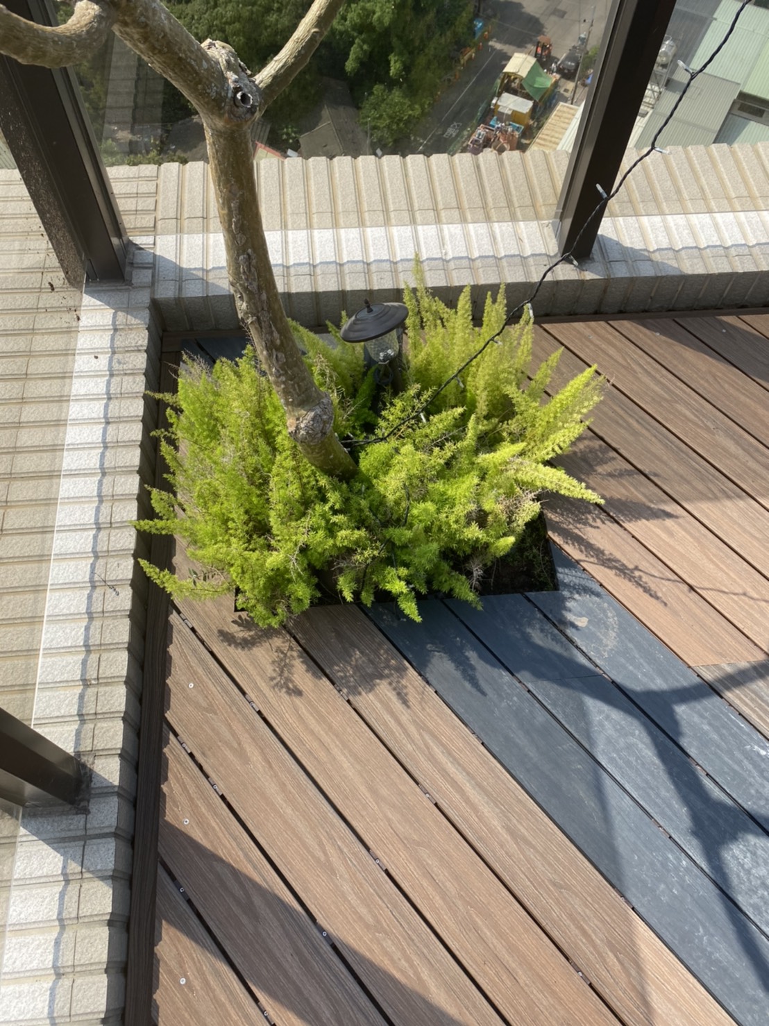 S__40361994.jpg