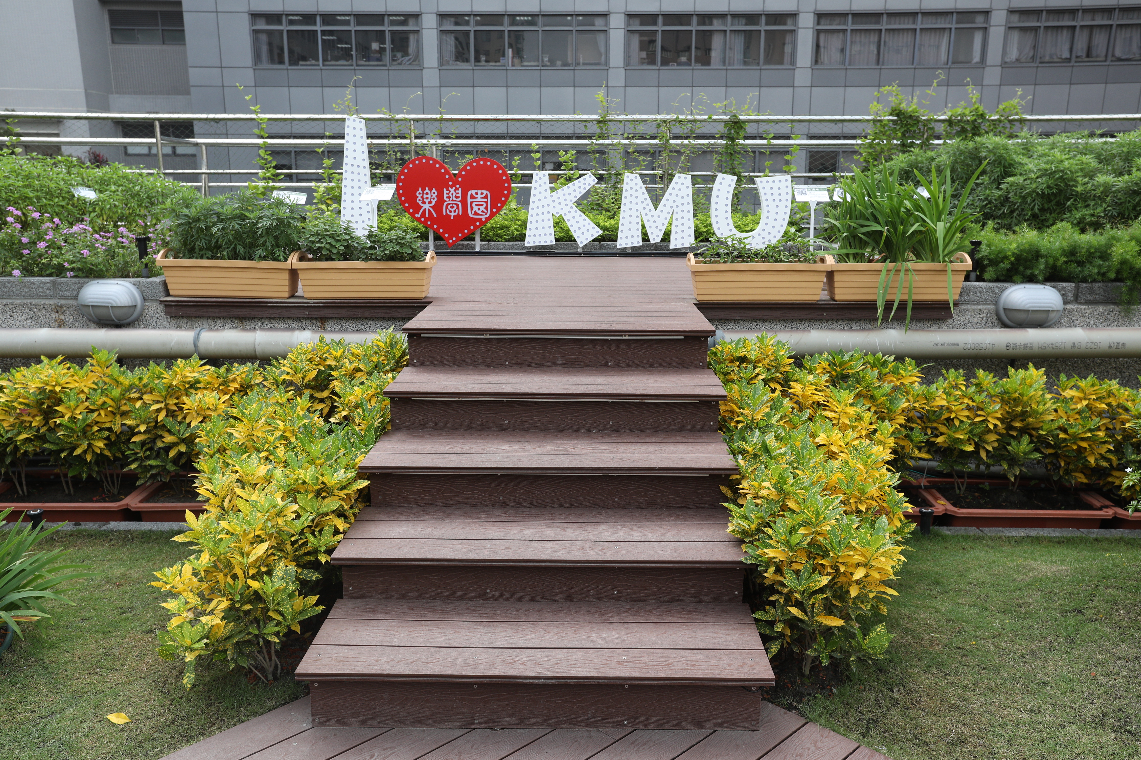 高醫屋頂花園 (3).JPG