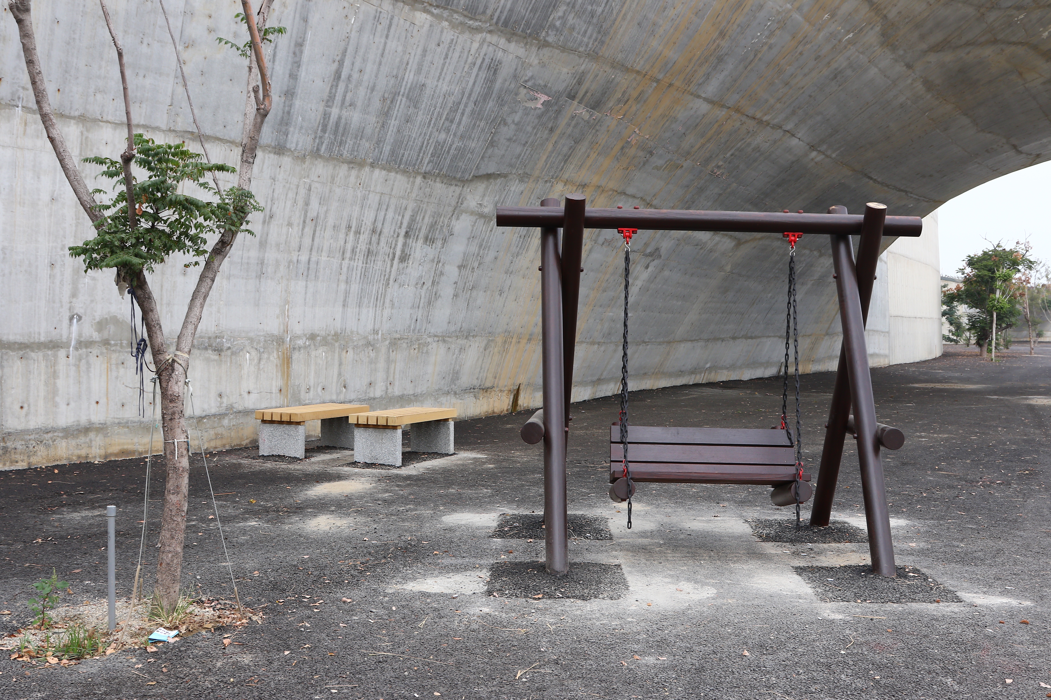 台中 中央公園 (14).JPG