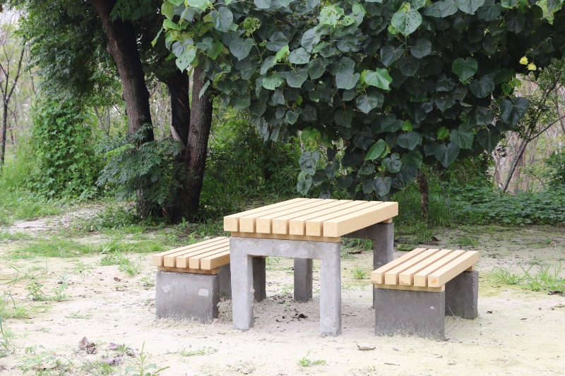 台中 中央公園-遊具、座椅 (6).jpg