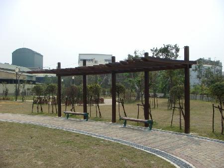 木作工程,原木,台南公七公園