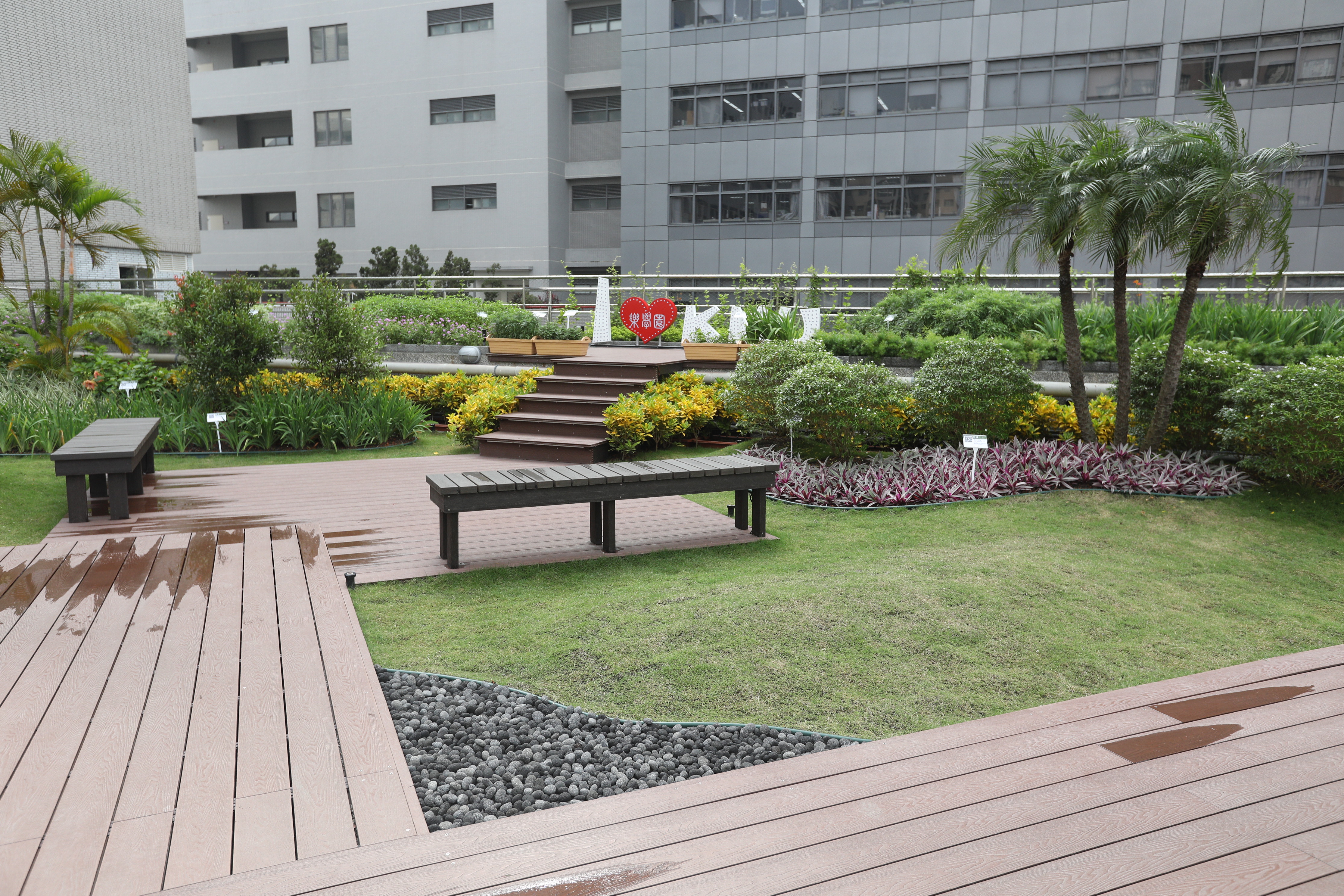 高醫屋頂花園 (8).JPG